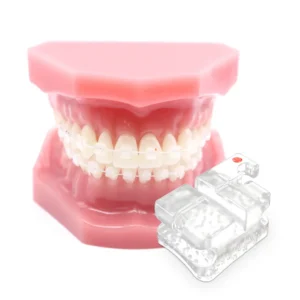 VANISH TWIN MBT BRACKET